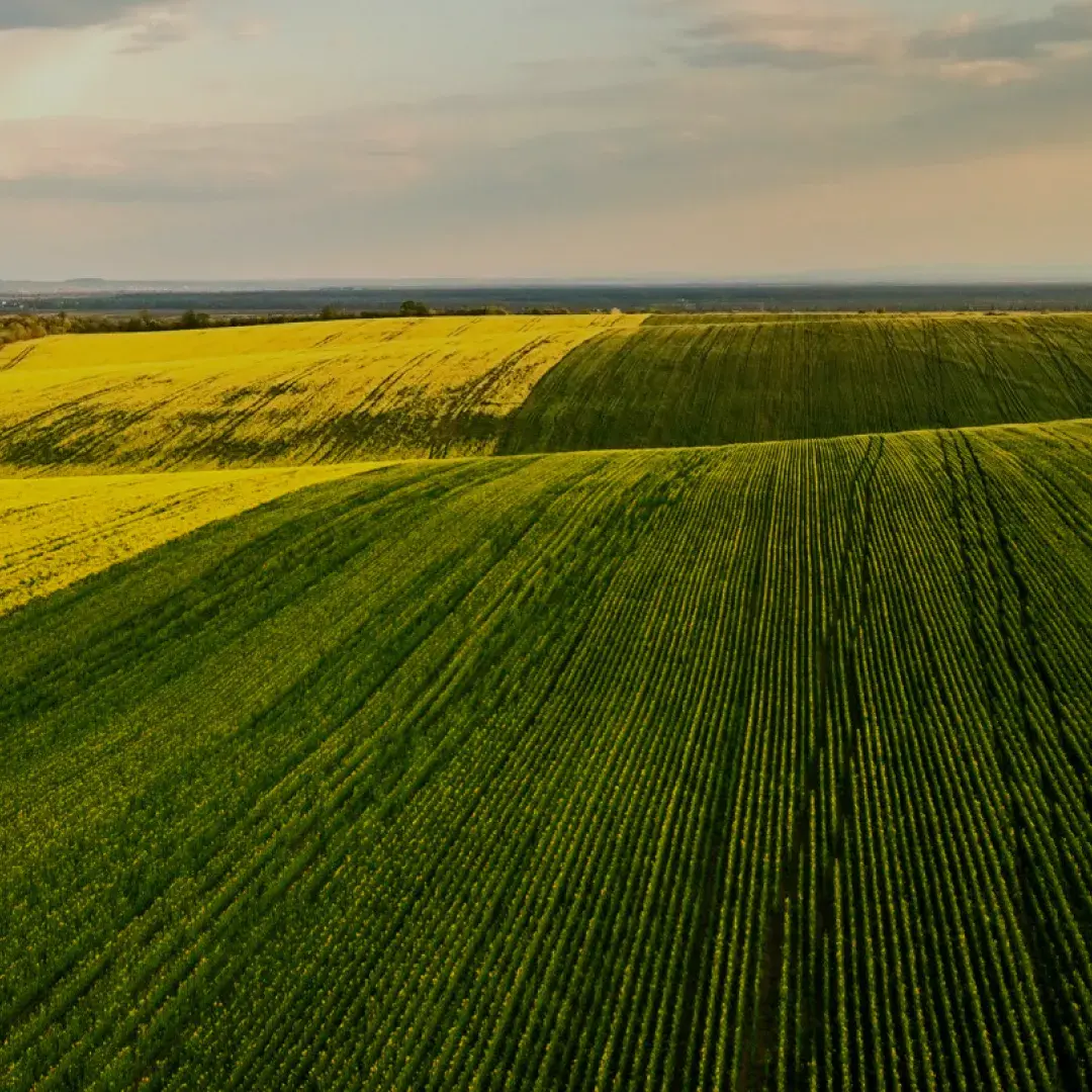 Agrosem